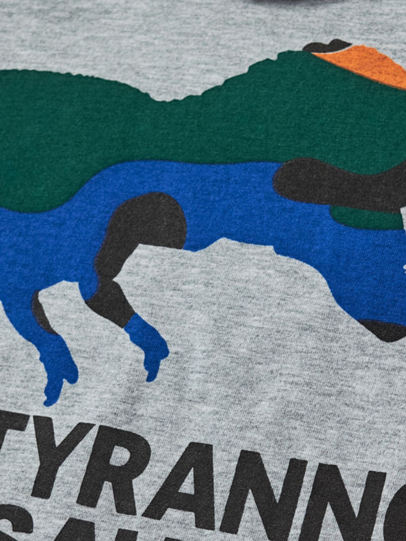 Grey cotton crew neck t-shirt with colorful dinosaur graphic and text.