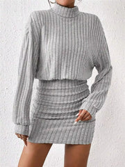 Light Gray ribbed turtleneck mini dress with ruched detail and long sleeves