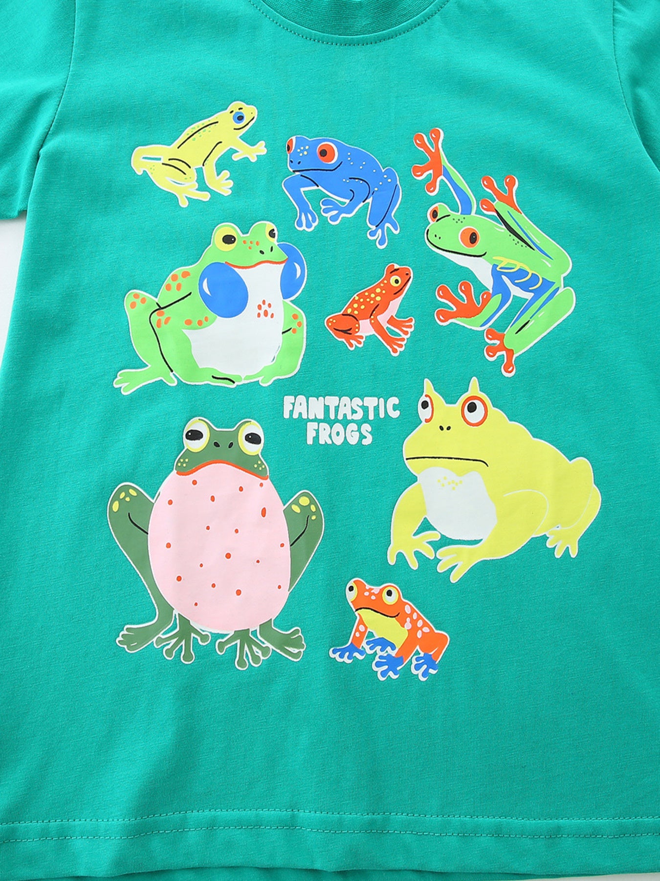 Green t-shirt with a playful frog print and "Fantastic Frogs" text.