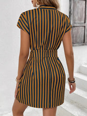 Brown and blue striped mini dress with self-tie waist and short sleeves.