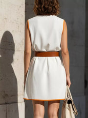 Vibrant Contrast Trim V-neck Dress