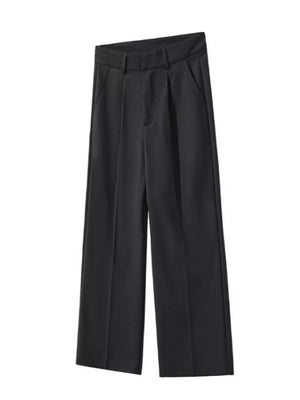 Black pleated wide-leg trousers with a contemporary cut and front pockets.