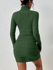 Green ribbed turtleneck bodycon mini dress with long sleeves.