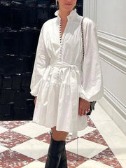 Elegant Balloon Sleeve Mini Dress
