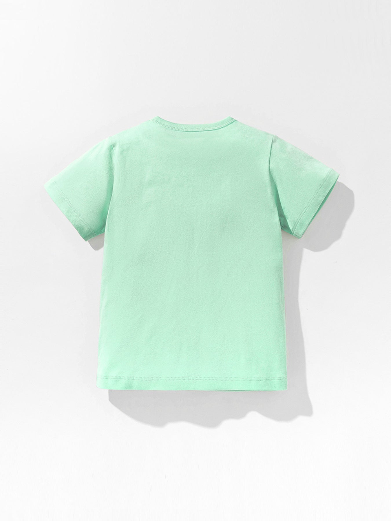 Toddler mint green crew-neck t-shirt with short sleeves and a dinosaur print on the back.