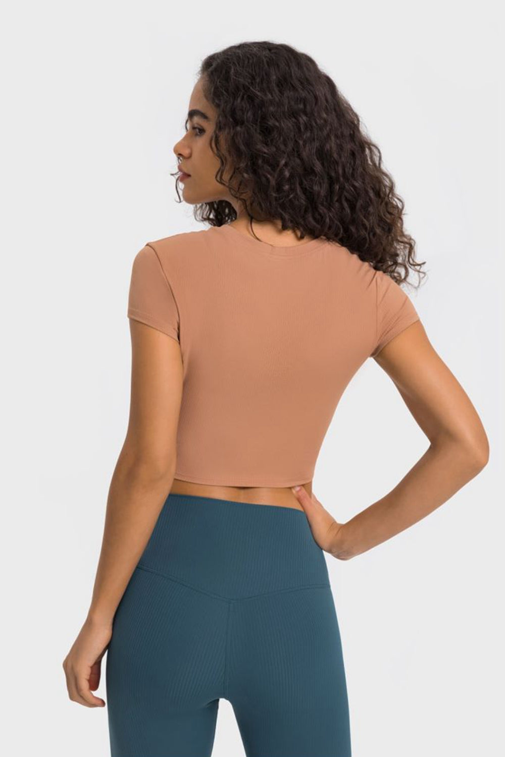 Brown ribbed crewneck crop top with short sleeves.